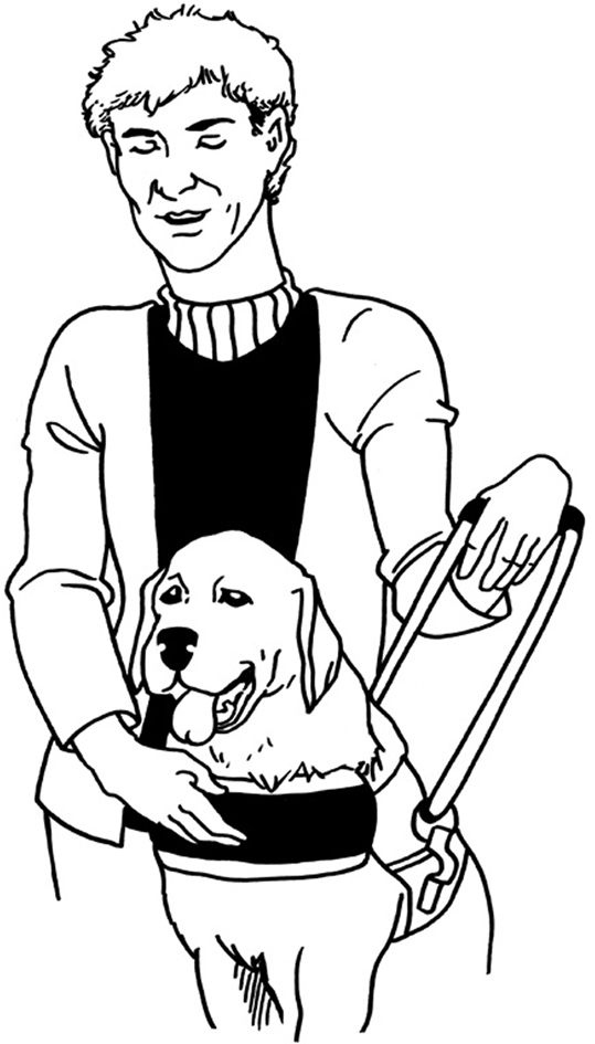 blind person guide dog